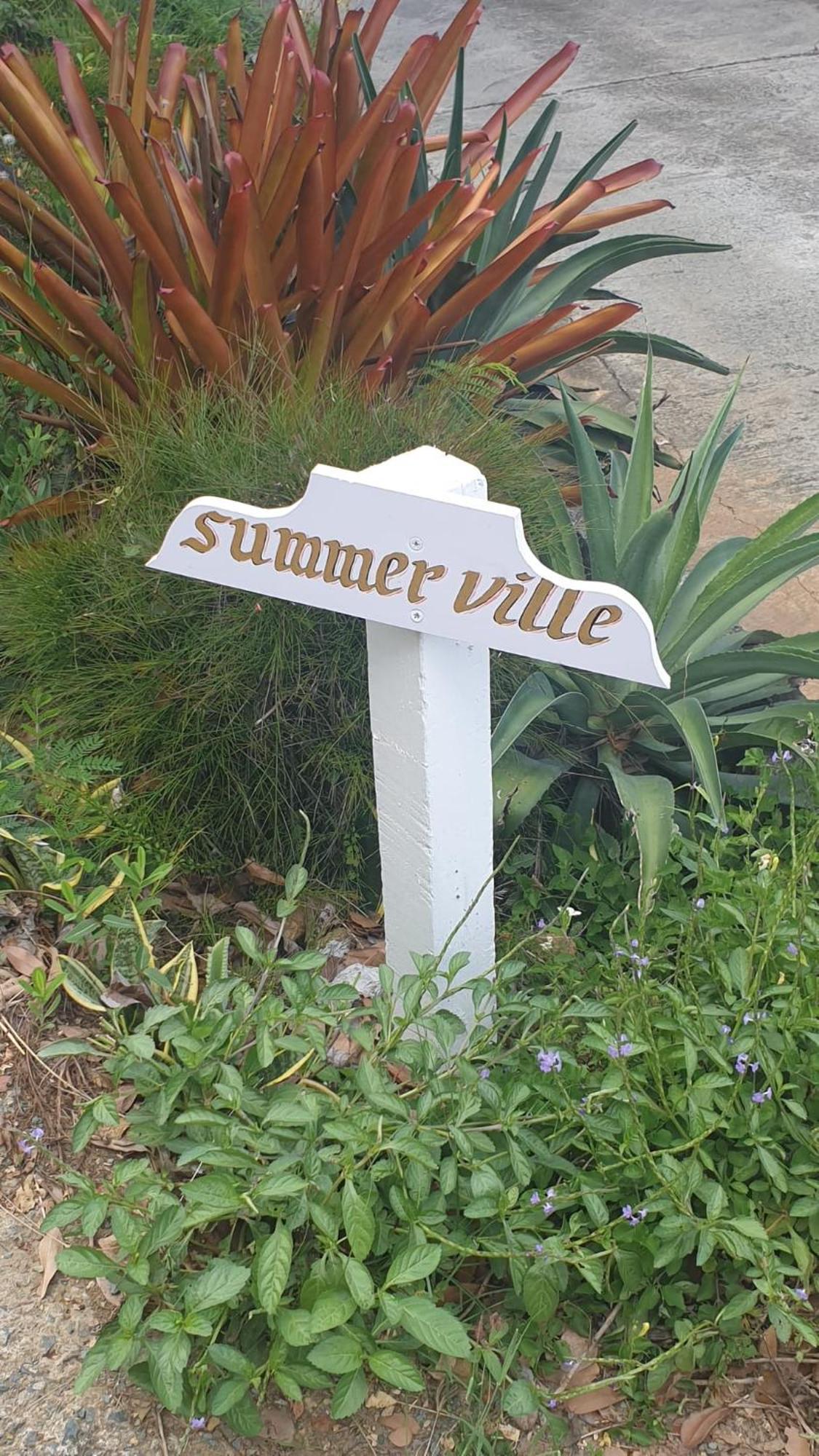 רוד טאון Summervillebvi מראה חיצוני תמונה